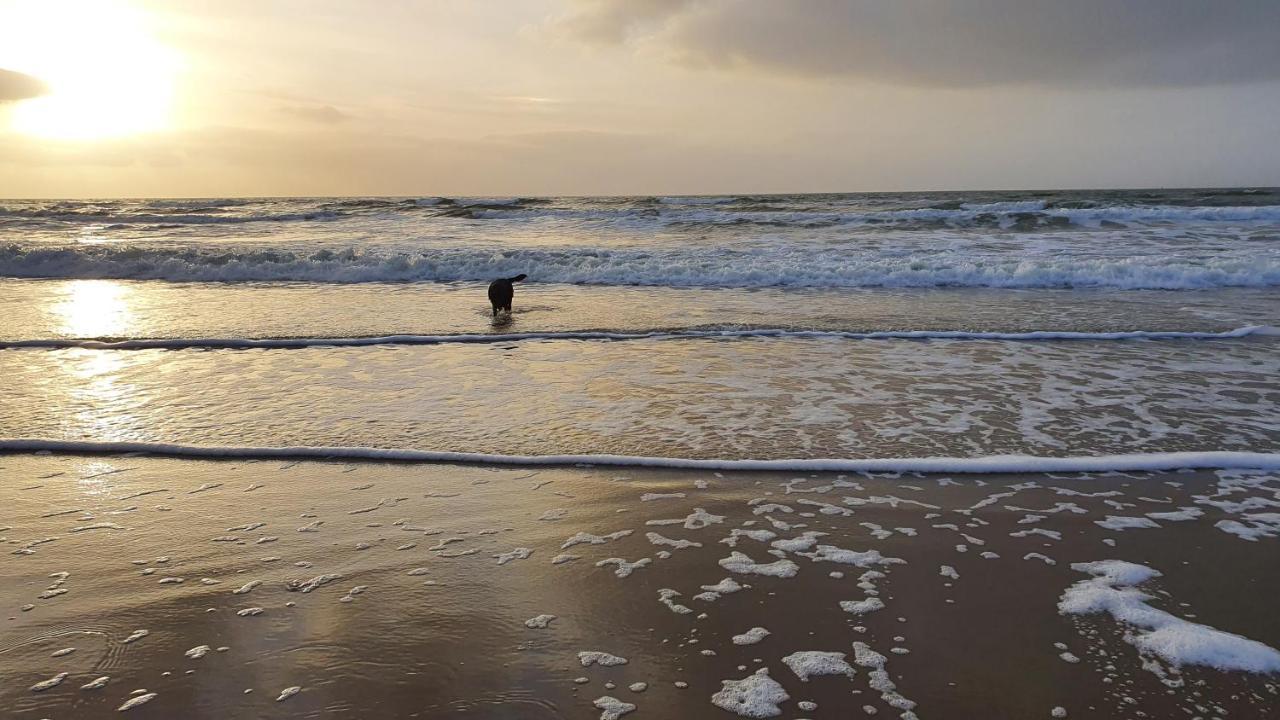 Luxe Vakantiebungalow Met Omheinde Tuin Voor Hond En Kinderen Dirkshorn Exterior foto
