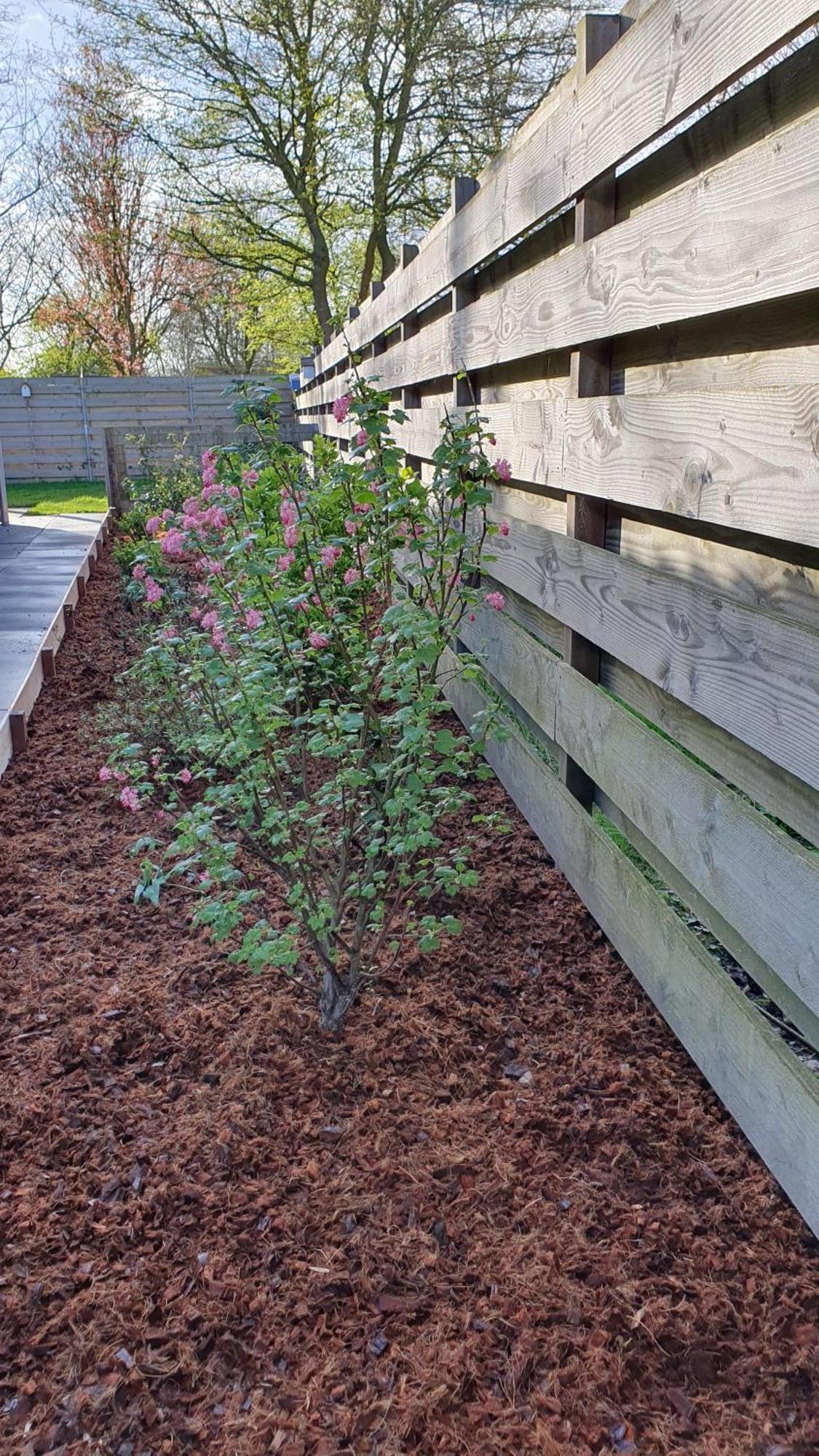 Luxe Vakantiebungalow Met Omheinde Tuin Voor Hond En Kinderen Dirkshorn Exterior foto