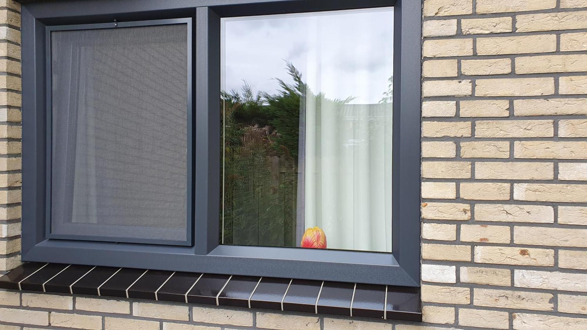 Luxe Vakantiebungalow Met Omheinde Tuin Voor Hond En Kinderen Dirkshorn Exterior foto